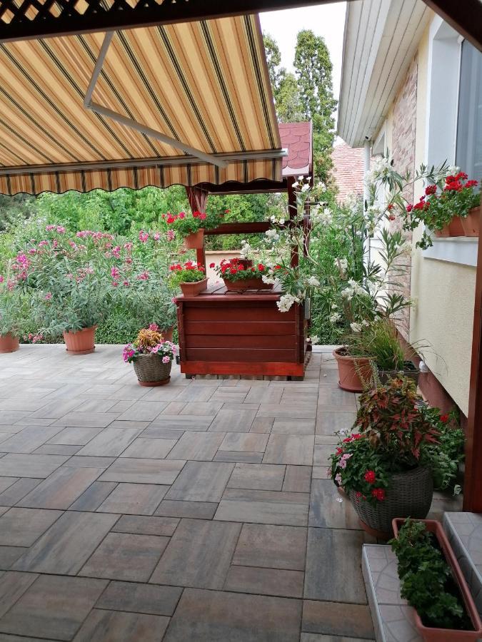Kaktuszvirag Apartmanhaz Hajdúszoboszló Exterior foto