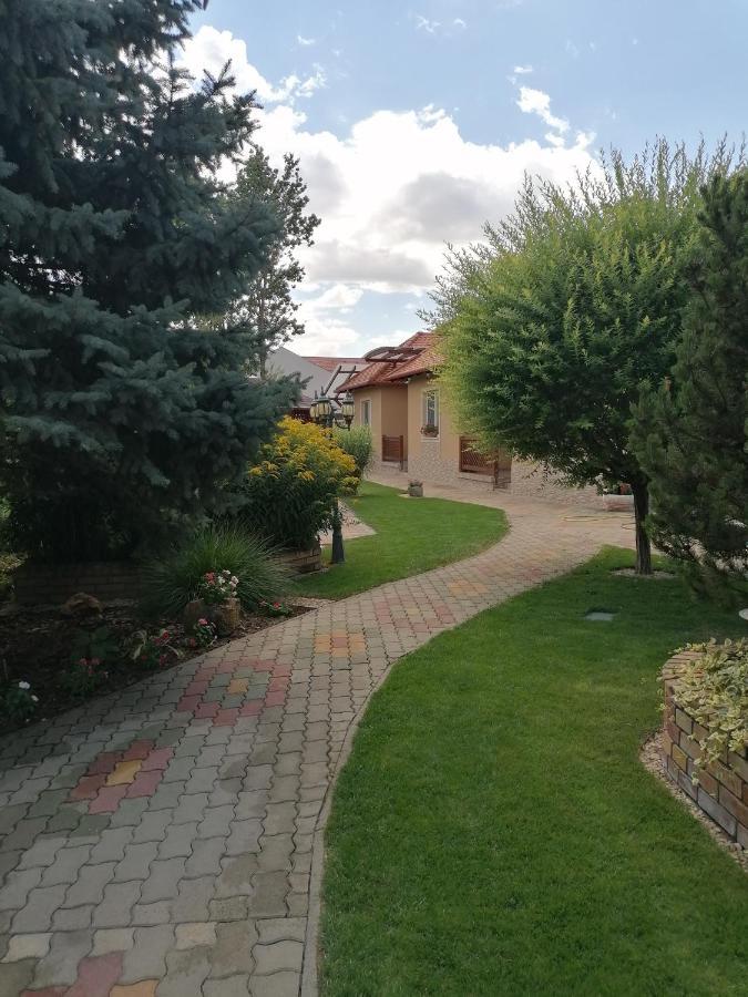 Kaktuszvirag Apartmanhaz Hajdúszoboszló Exterior foto